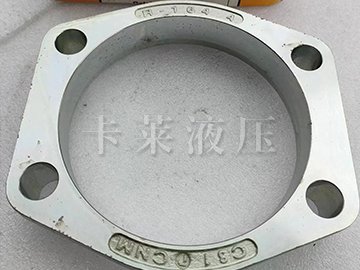 不锈钢法兰片R-164-CFX