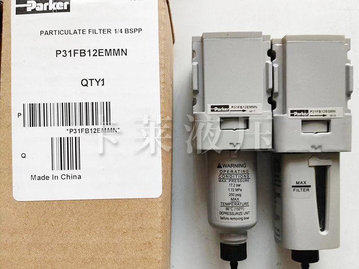 P31FB12EMMN