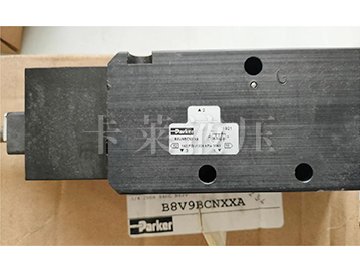 电磁阀B8V9BCNXXA