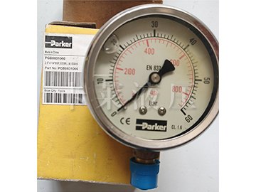 压力表 PGB0631060
