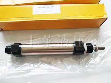 活塞杆气缸, 双作用气缸P1A-S025DS-0080
