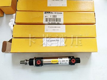 活塞杆气缸, 双作用气缸P1A-S025MS-0050