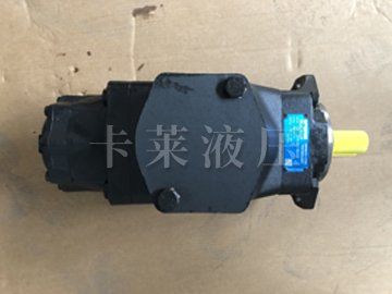叶片泵054-50677-0 T67DCC B50 B31 B25 1R**A100