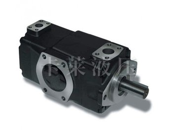 叶片泵024-51751-002S T6CC 031 022 1R02 C100