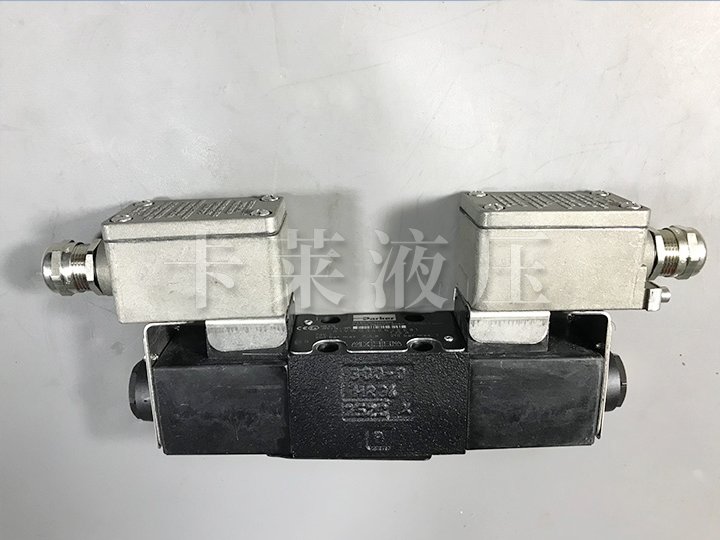 防爆阀D1VW004CNJEE
