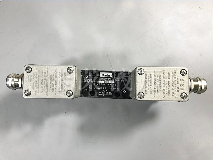 防爆阀D1VW004CNJEE